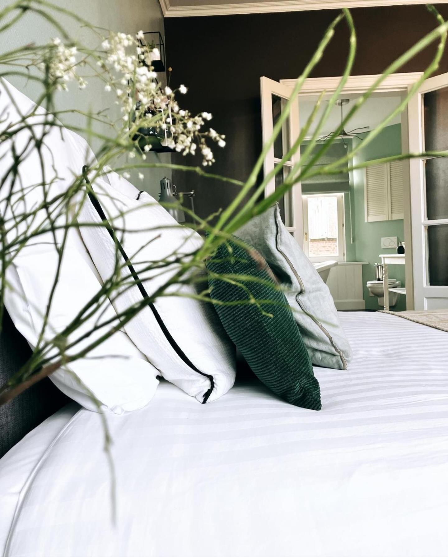 Domus Portus Bed & Breakfast Дендермонде Екстериор снимка