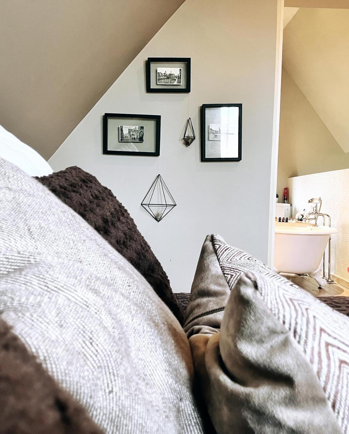 Domus Portus Bed & Breakfast Дендермонде Екстериор снимка